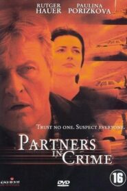 Partners in Crime 2000 one on netflix