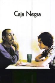 Black Box 2002 one on netflix