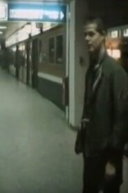 Jetzt kommt die Flut: Liebe, Geld und Tod 1982 one on netflix