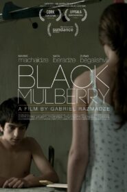 Black Mulberry 2012 one on netflix
