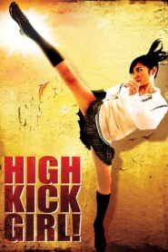High Kick Girl! 2009 one on netflix