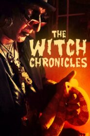The Witch Chronicles 2015 one on netflix