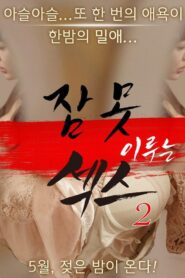 Sleepless Sex 2 2016 one on netflix