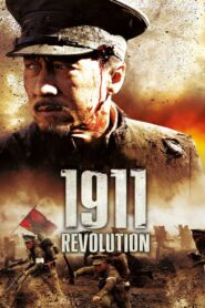1911 2011 one on netflix