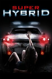 Super Hybrid 2011 one on netflix