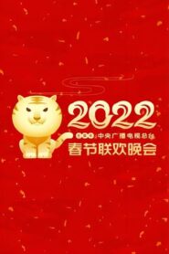 2022年中央广播电视总台春节联欢晚会 2022 one on netflix