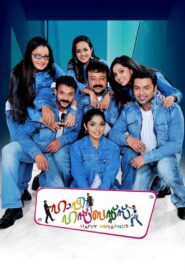 Happy Husbands 2010 one on netflix