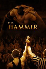 The Hammer 2010 one on netflix