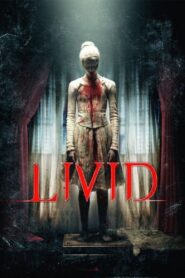 Livid 2011 one on netflix
