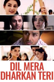 Dil Mera Dhadkan Teri 2013 one on netflix