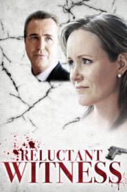 Reluctant Witness 2015 one on netflix