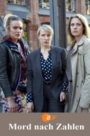 Mord nach Zahlen 2013 one on netflix