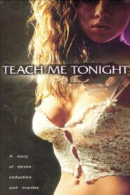 Teach Me Tonight 1997 one on netflix