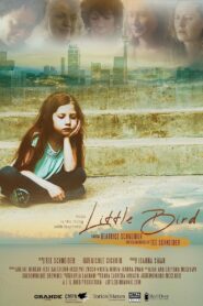 Little Bird 2022 one on netflix