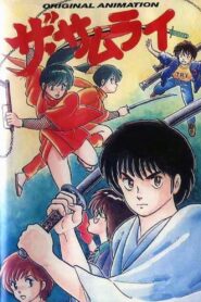 The Samurai 1987 one on netflix