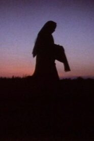 Women in the Shadows 1991 one on netflix