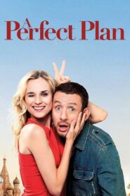A Perfect Plan 2012 one on netflix