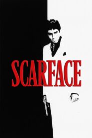 Scarface 1983 one on netflix