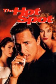 The Hot Spot 1990 one on netflix