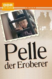 Pelle the Conqueror 1986 one on netflix