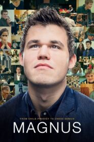 Magnus 2016 one on netflix