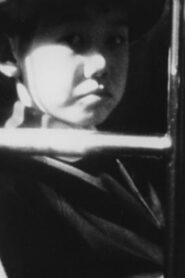 The Letter 1991 one on netflix