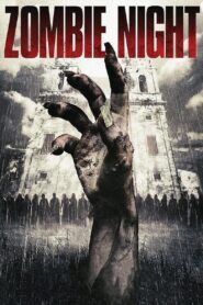 Zombie Night 2013 one on netflix