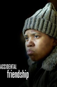 Accidental Friendship 2008 one on netflix