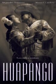 Huapango 2004 one on netflix