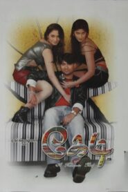 Kedi 2006 one on netflix