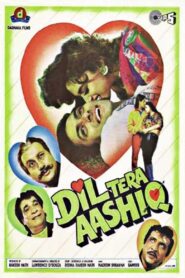 Dil Tera Aashiq 1993 one on netflix