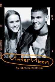 Vinterviken 1996 one on netflix