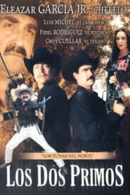 Los dos primos 2003 one on netflix