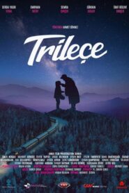 Trileçe 2018 one on netflix