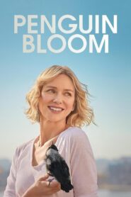 Penguin Bloom 2021 one on netflix