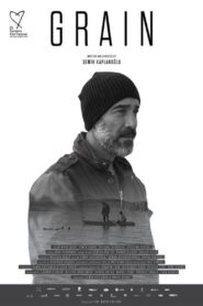 Buğday 2017 one on netflix