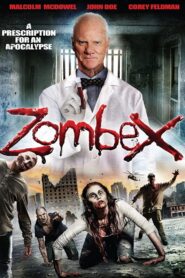 Zombex 2013 one on netflix