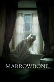 Marrowbone 2017 one on netflix