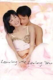 Leaving Me Loving You 2004 one on netflix