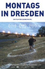 Merkel Must Go 2017 one on netflix