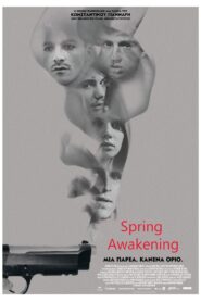 Spring Awakening 2016 one on netflix