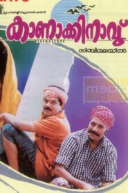 Kanakkinavu 1996 one on netflix