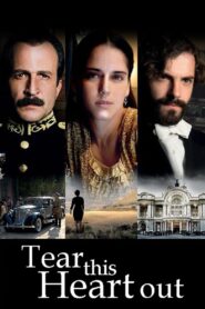 Tear This Heart Out 2008 one on netflix