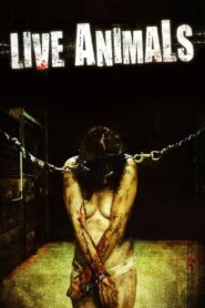 Live Animals 2008 one on netflix