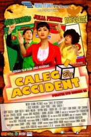 Caleg By Accident 2014 one on netflix