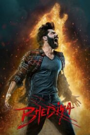 Bhediya 2022 one on netflix
