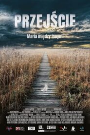 The Passage 2021 one on netflix