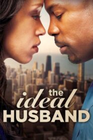 The Ideal Husband 2011 one on netflix