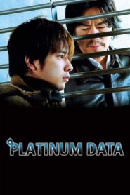 Platinum Data 2013 one on netflix