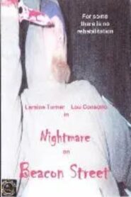 Nightmare on Beacon Street 1996 one on netflix